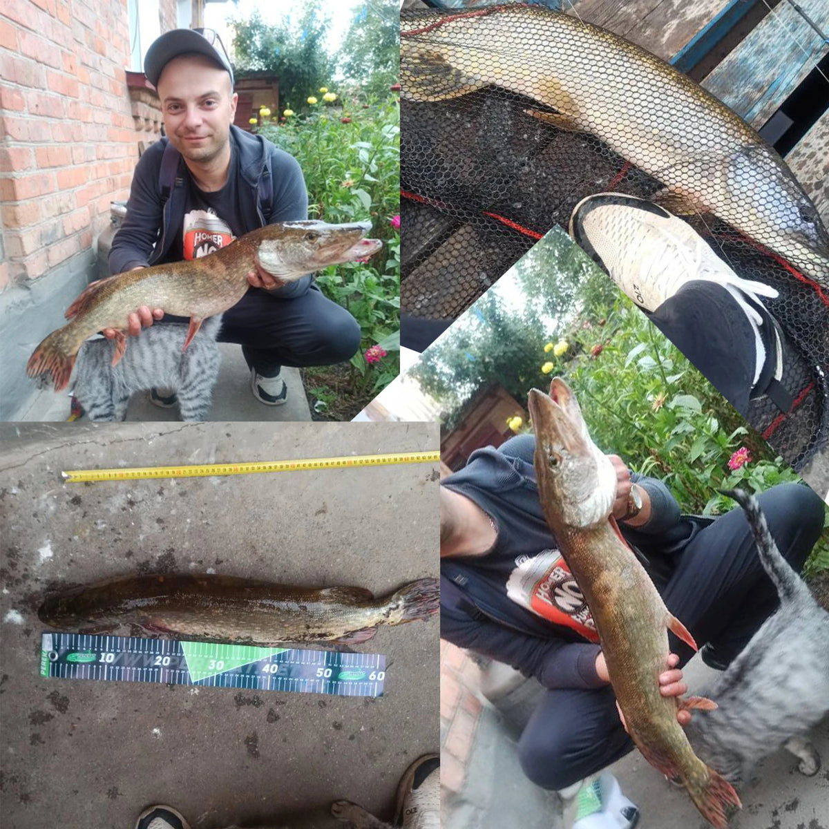 Biutifud Bigfish T800 Carbon Carp Surfcasting Fishing Rod