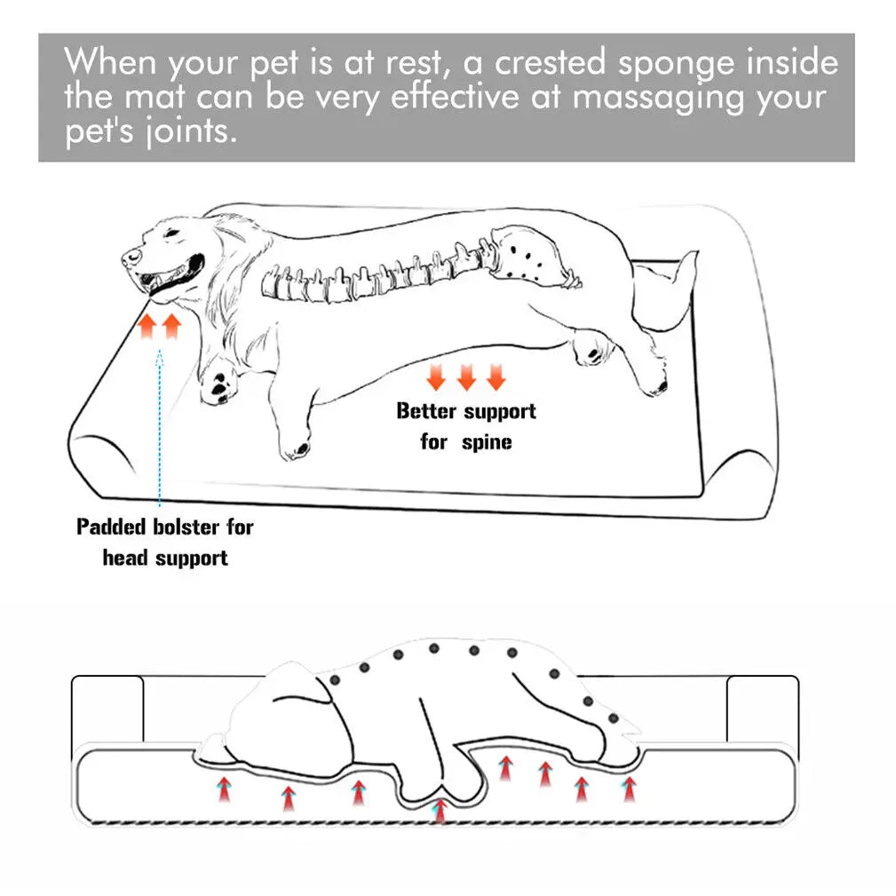 BINGOPAW Orthopedic Dog Bed With Removable Washable Cover Foam Mattress