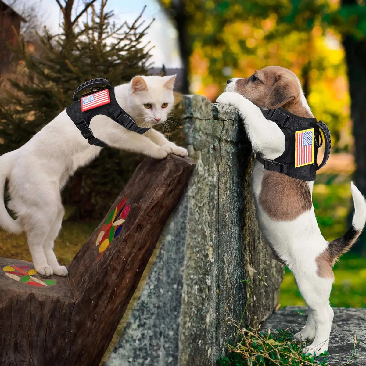 Tactical Padded Adjustable Harness Leash Set For Dogs And Cats
