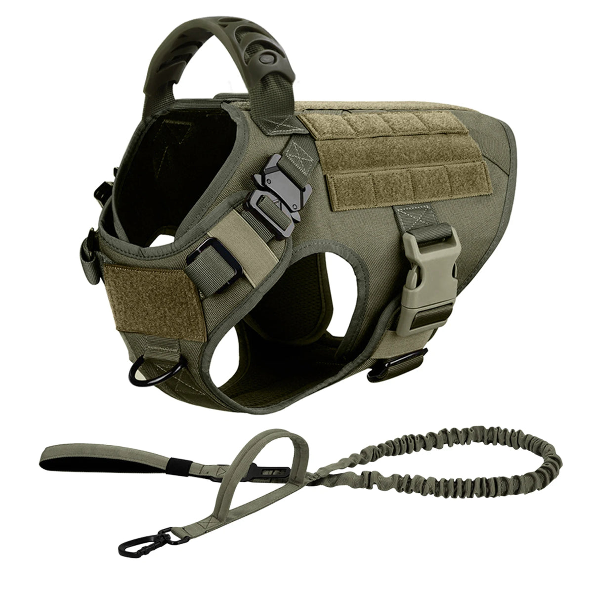 Padded Nylon Dog Harness And Leash Set For Training Purposes
