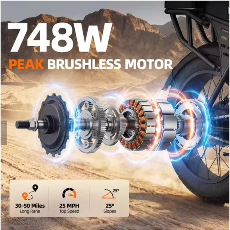 Adult Fat Tire Electric Bike With Passenger Seat And Display