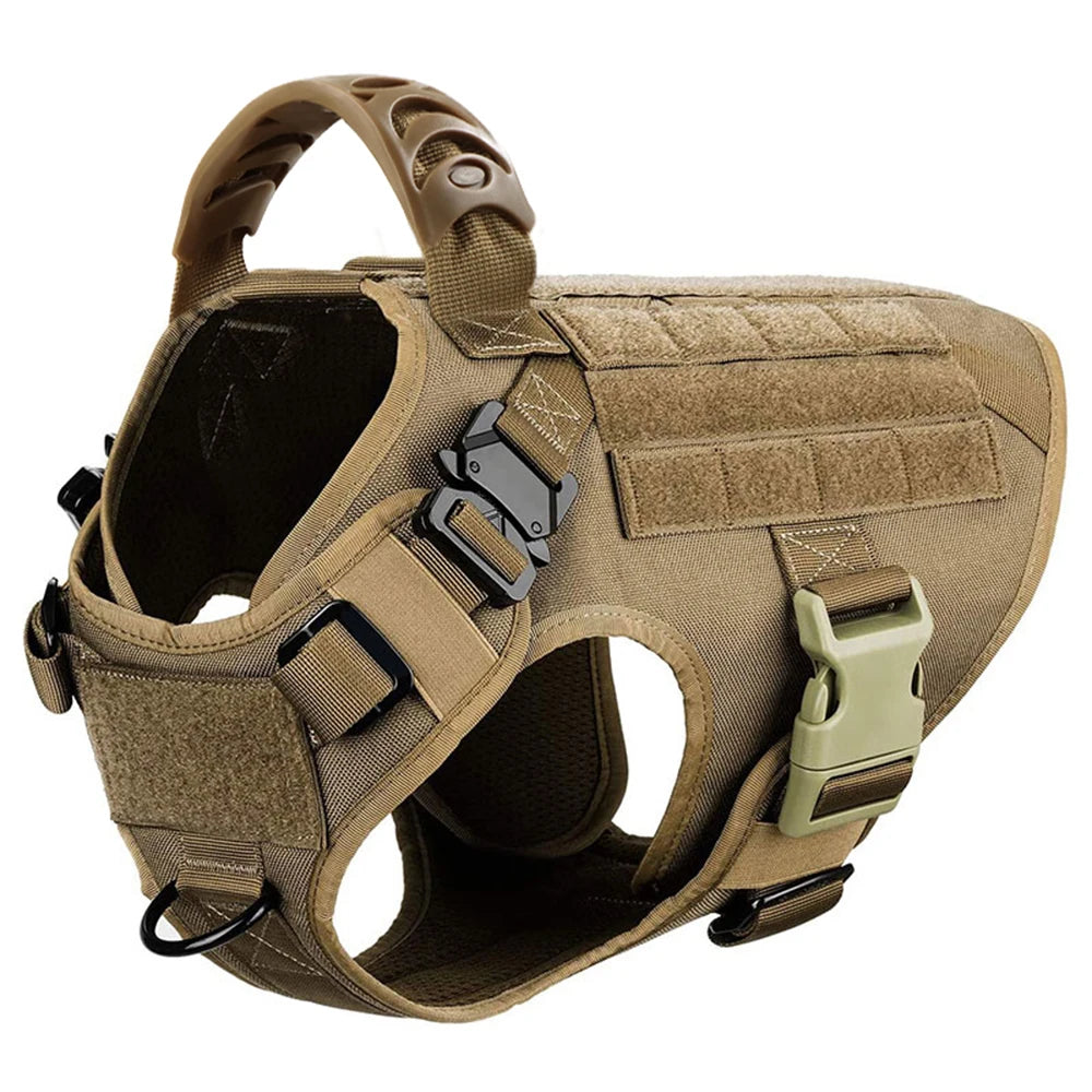 Padded Nylon Dog Harness And Leash Set For Training Purposes