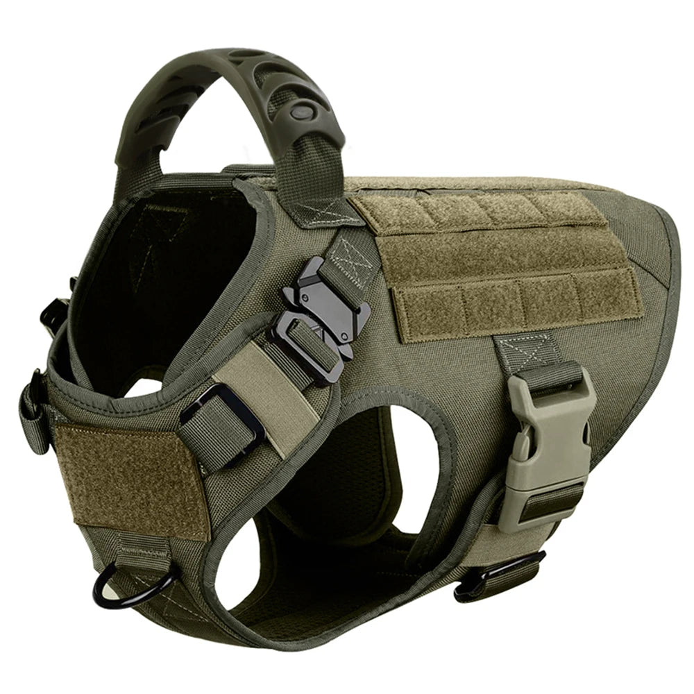Padded Nylon Dog Harness And Leash Set For Training Purposes