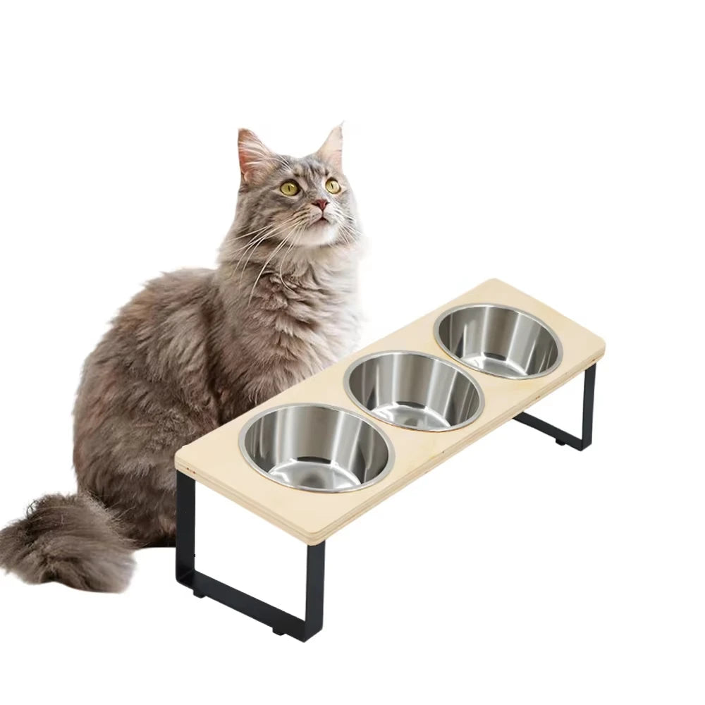 Elevated Stainless Steel Cat Feeder With Tilted Bowls And Mat