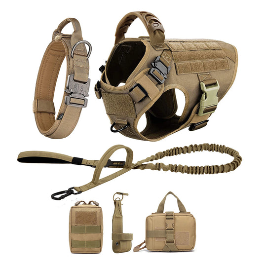 Padded Nylon Dog Harness And Leash Set For Training Purposes