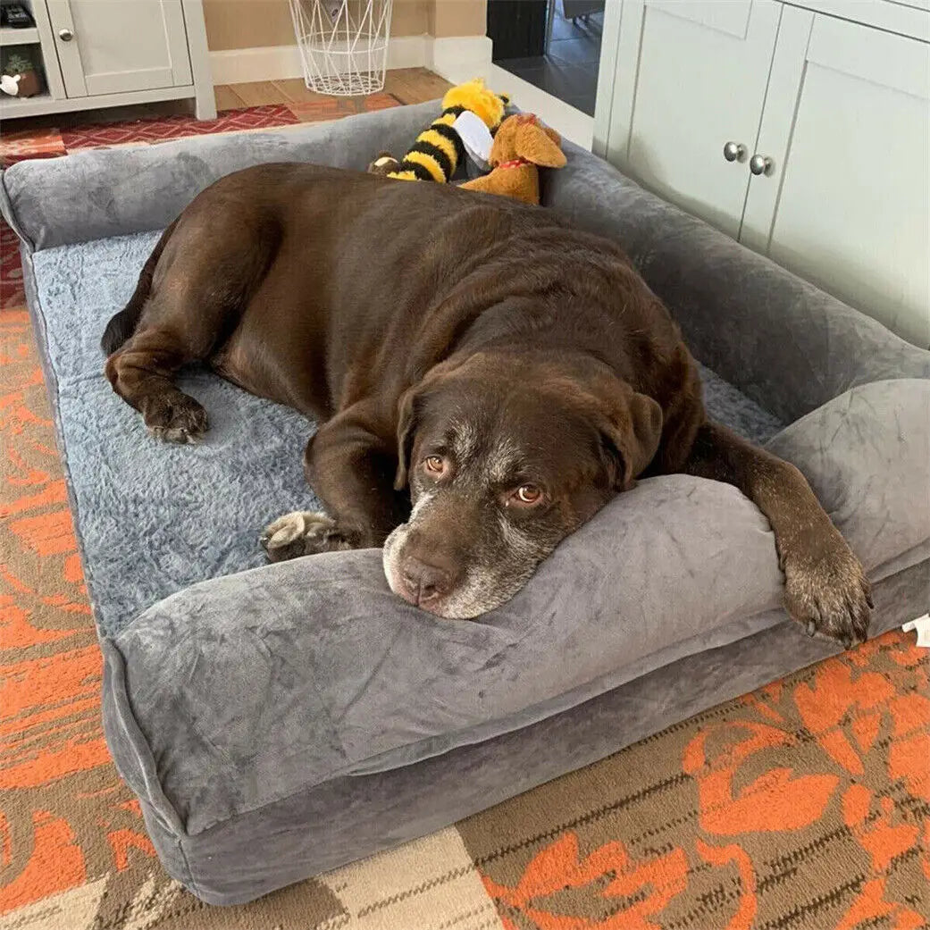 BINGOPAW Orthopedic Dog Bed With Removable Washable Cover Foam Mattress