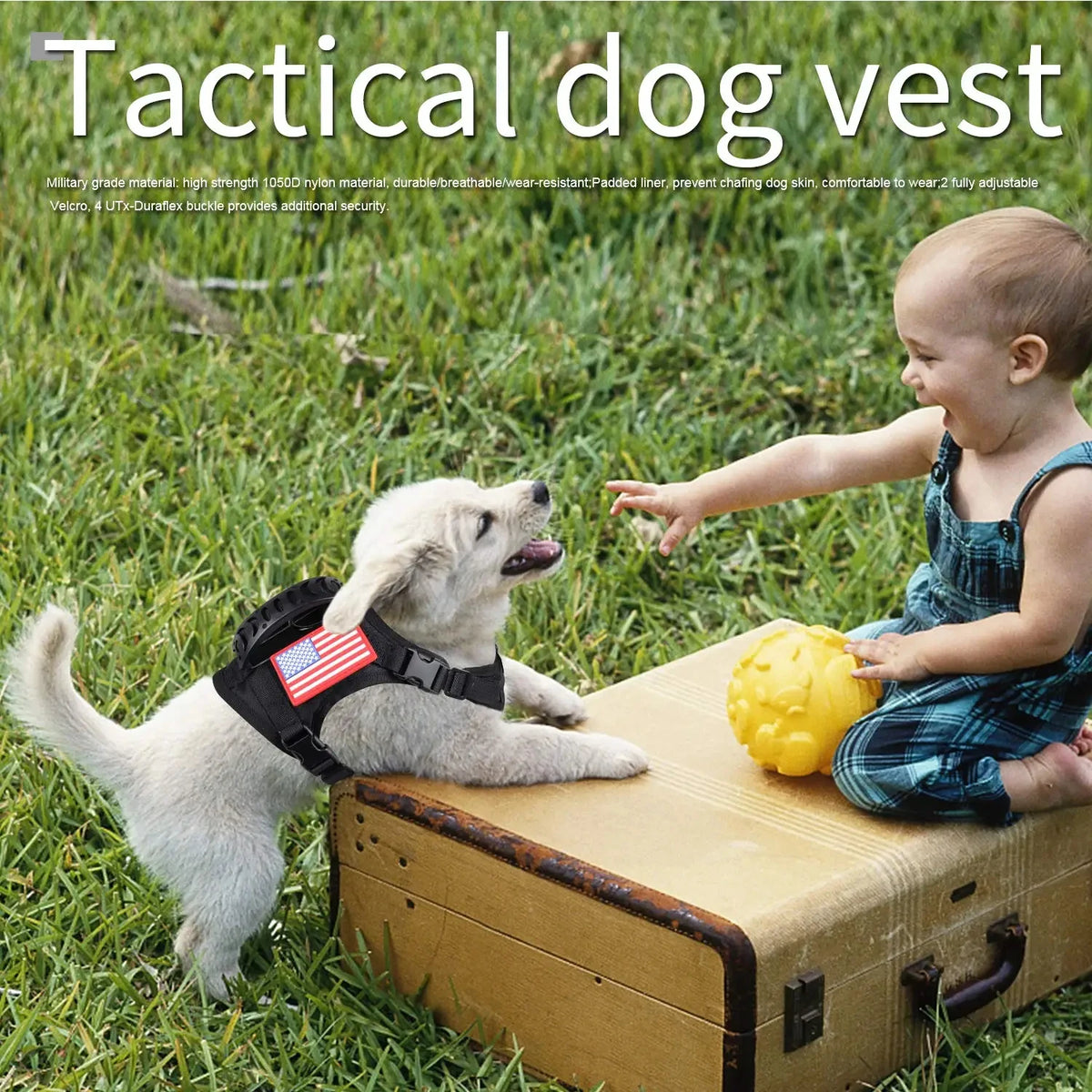 Tactical Padded Adjustable Harness Leash Set For Dogs And Cats