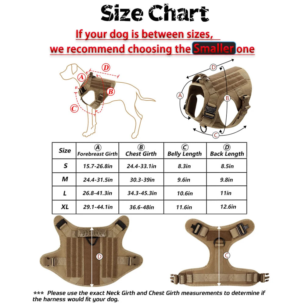 Padded Nylon Dog Harness And Leash Set For Training Purposes