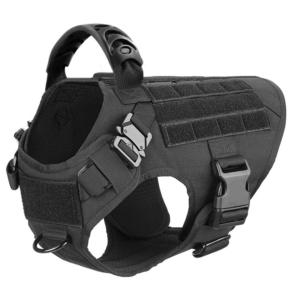 Padded Nylon Dog Harness And Leash Set For Training Purposes