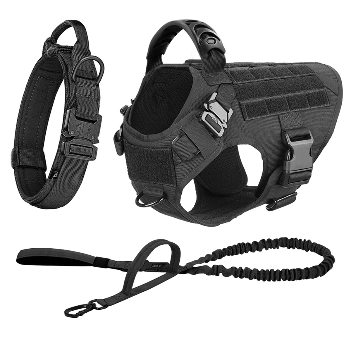 Padded Nylon Dog Harness And Leash Set For Training Purposes