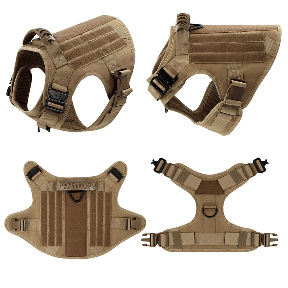 Padded Nylon Dog Harness And Leash Set For Training Purposes