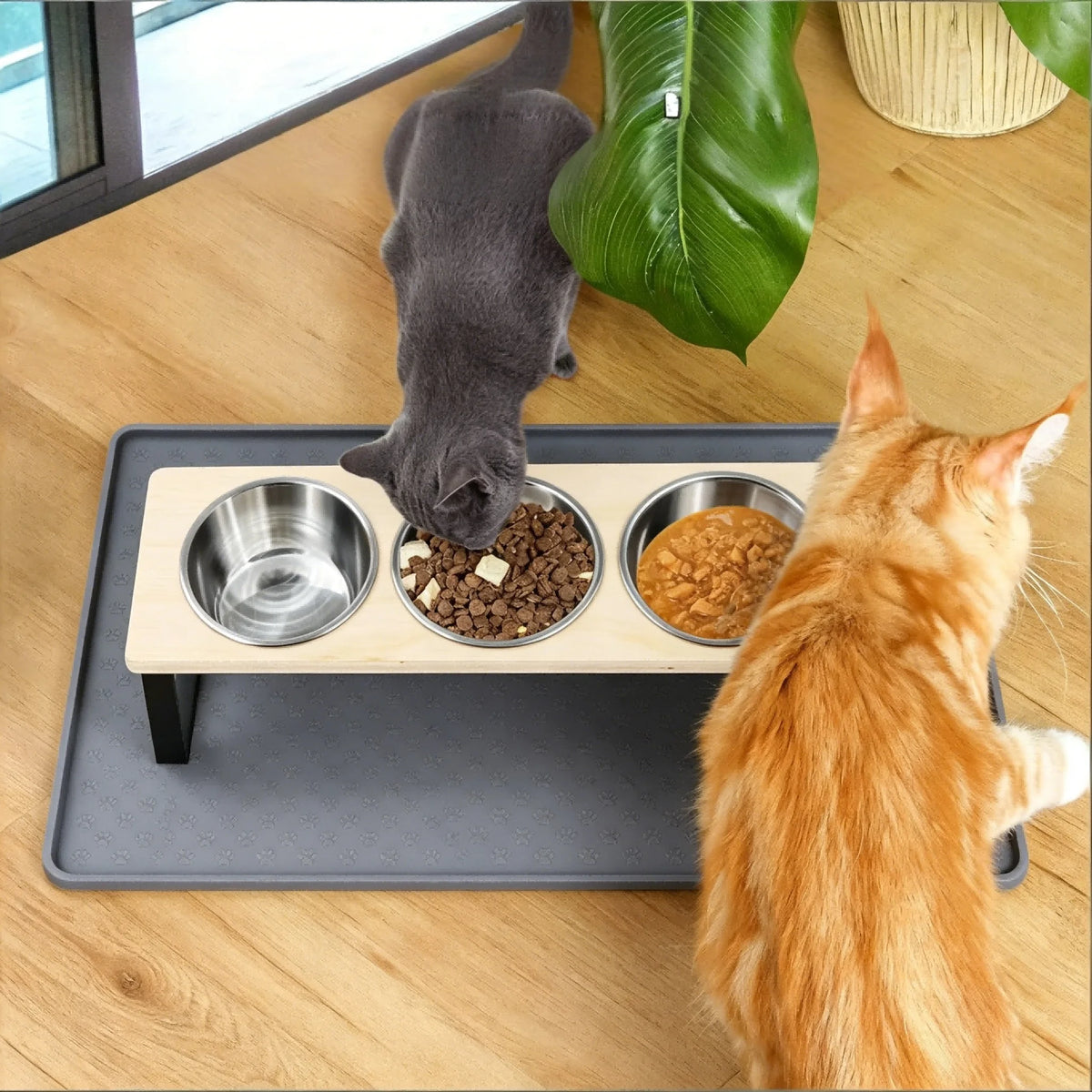 Elevated Stainless Steel Cat Feeder With Tilted Bowls And Mat