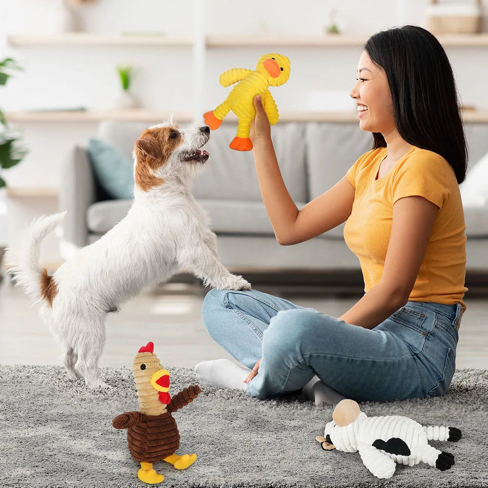 Plush Squeaky Dog Toys Assorted Animal Chew Toy Bundle