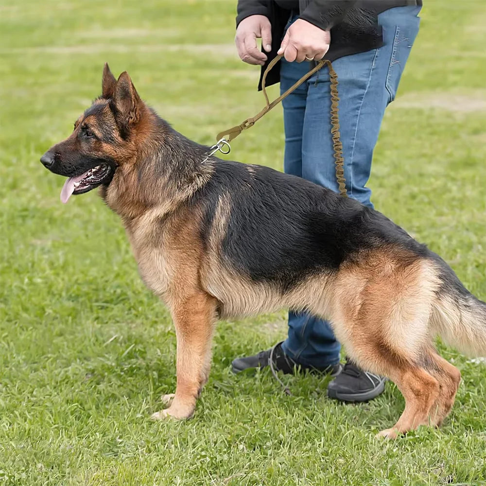 Adjustable Tactical Nylon Dog Leash With Dual Quick Release Handles