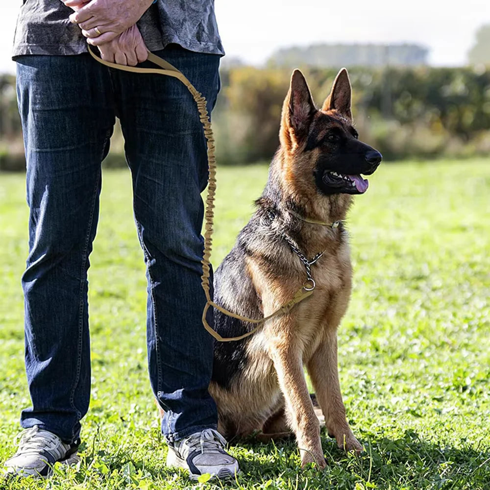 Adjustable Tactical Nylon Dog Leash With Dual Quick Release Handles
