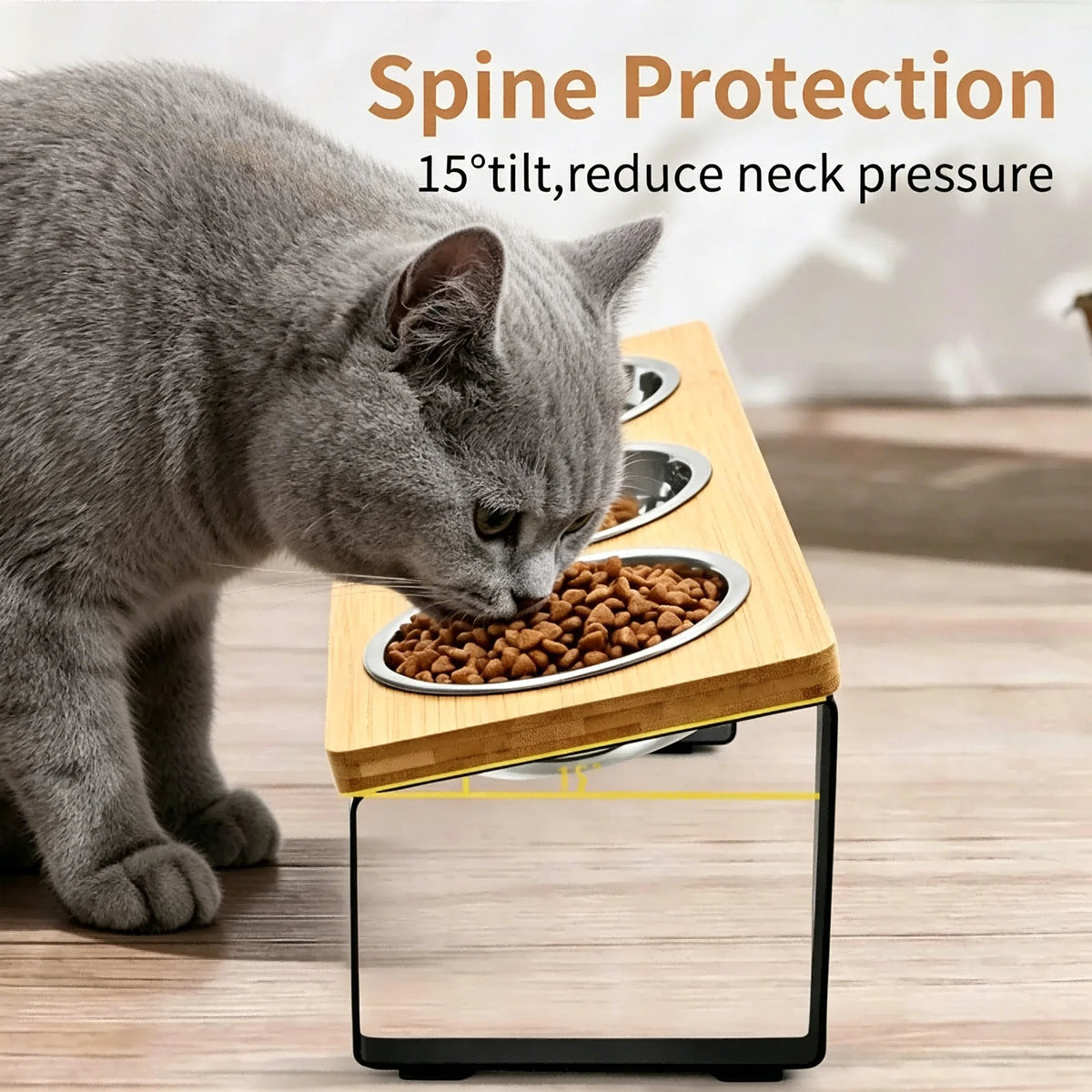 Elevated Stainless Steel Cat Feeder With Tilted Bowls And Mat