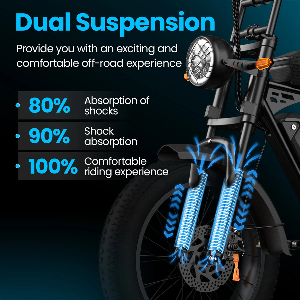 Adult Fat Tire Electric Bike With Passenger Seat And Display