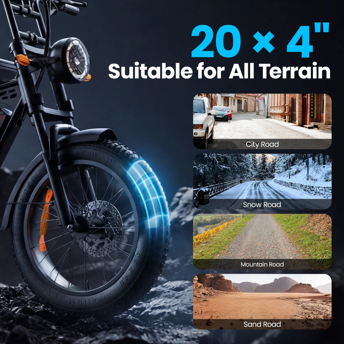 Adult Fat Tire Electric Bike With Passenger Seat And Display